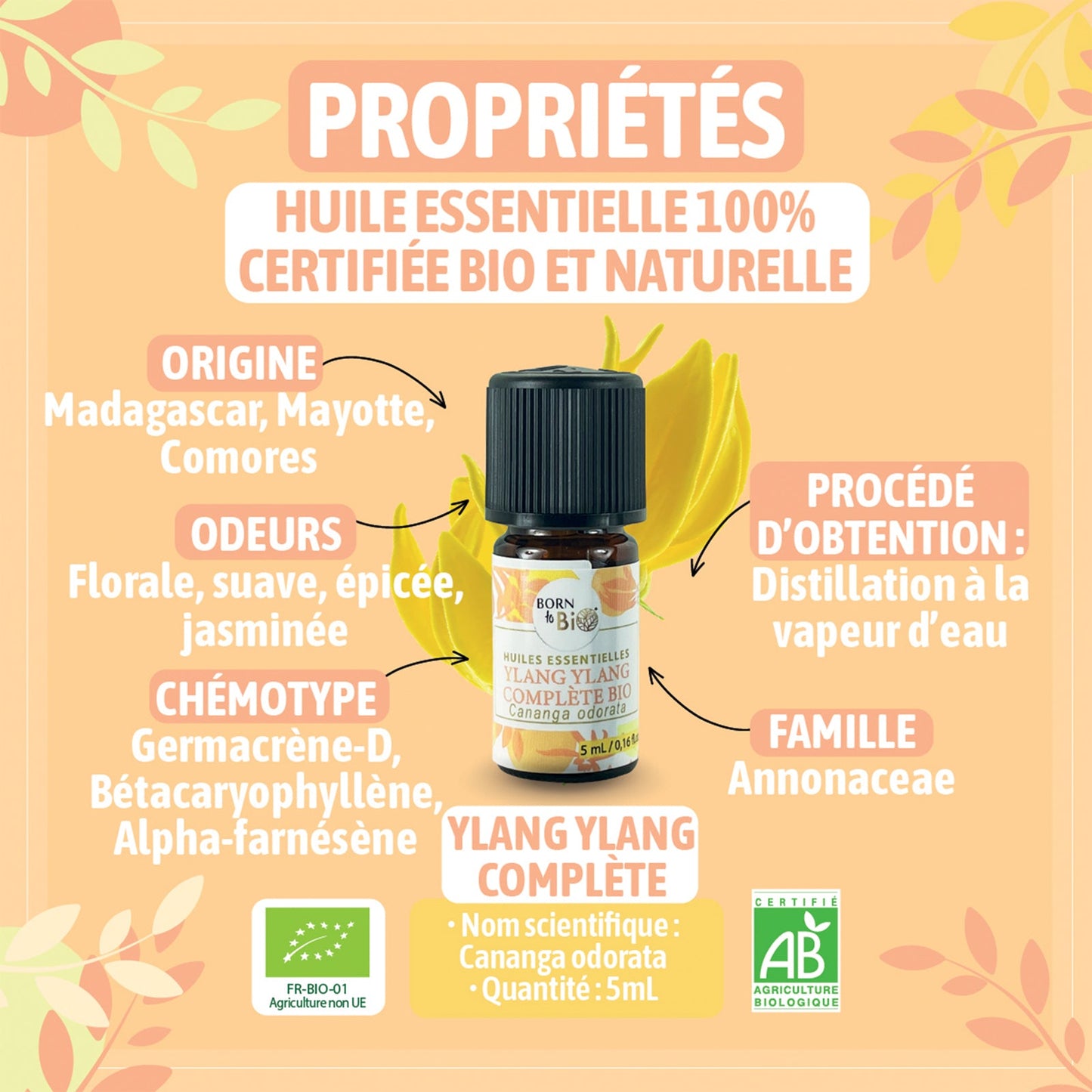 Huile Essentielle d'Ylang Ylang Complète Bio
