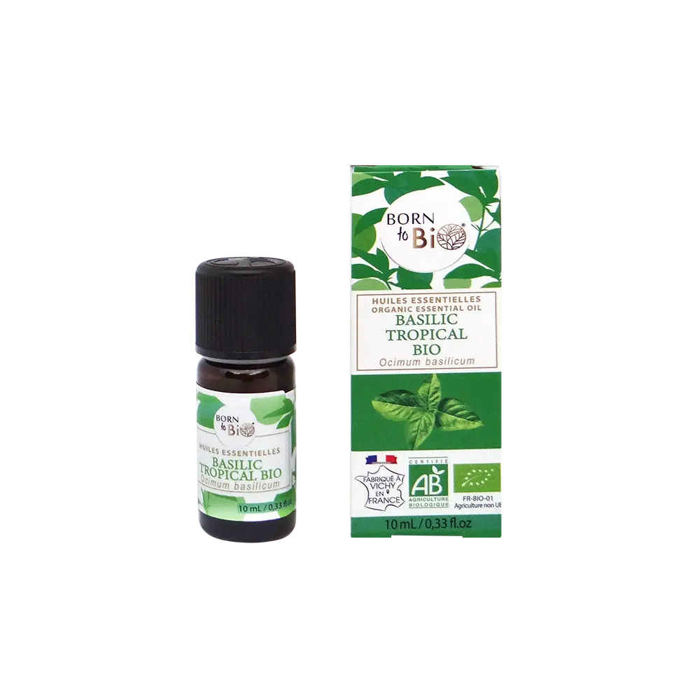 Huile Essentielle de Basilic Tropical Certifiée Bio