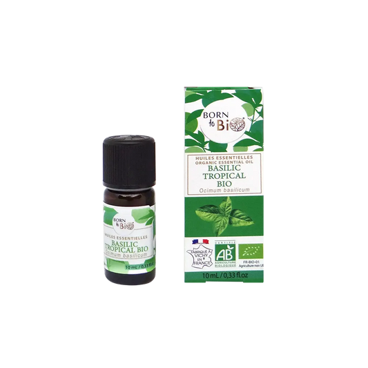 Huile Essentielle de Basilic Tropical Certifiée Bio