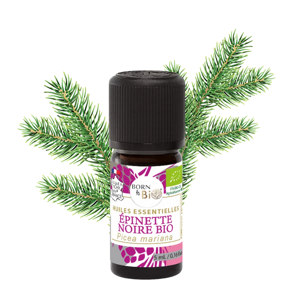Huile Essentielle d'Épinette Noire Certifiée Bio