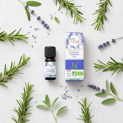 Mise en scène flat lay